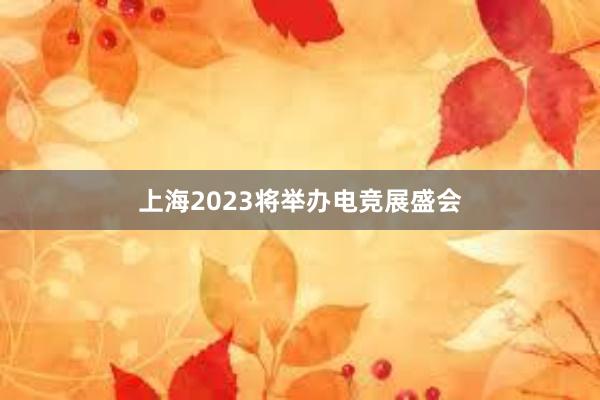 上海2023将举办电竞展盛会